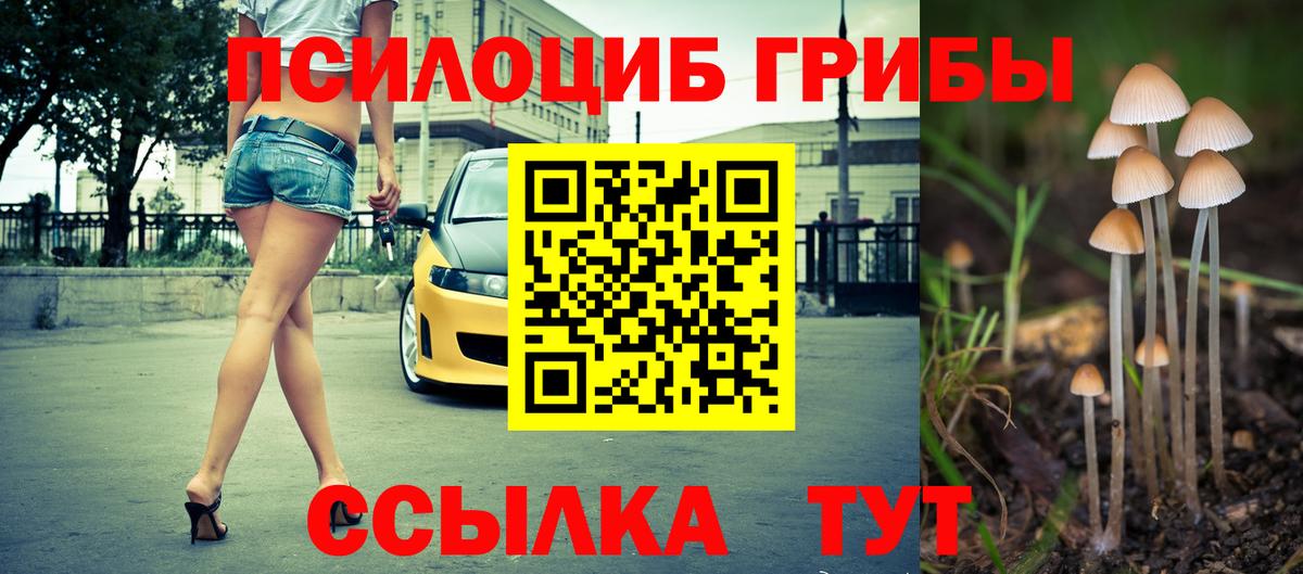 Галлюциногенные грибы GOLDEN TEACHER  Вход с VPN  Урюпинск 